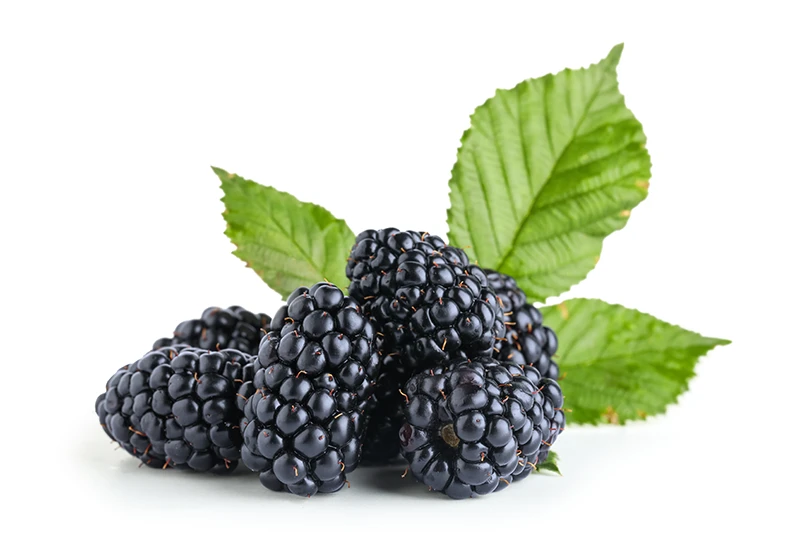 Blackberries