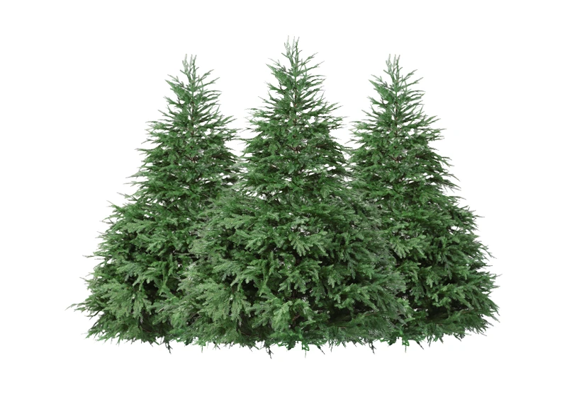 Christmas Trees