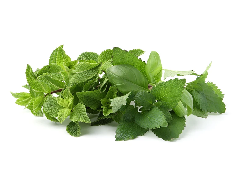 Herbs